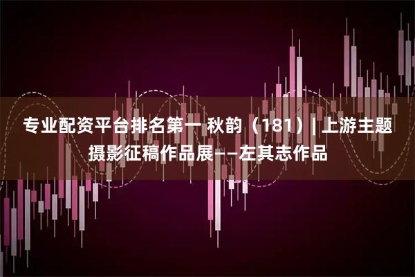 专业配资平台排名第一 秋韵（181）| 上游主题摄影征稿作品展——左其志作品