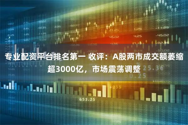 专业配资平台排名第一 收评：A股两市成交额萎缩超3000亿，市场震荡调整