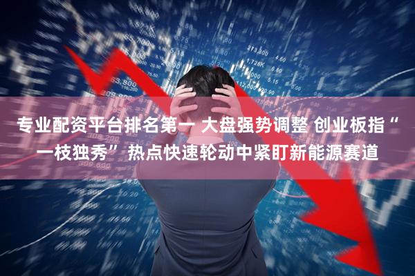 专业配资平台排名第一 大盘强势调整 创业板指“一枝独秀” 热点快速轮动中紧盯新能源赛道