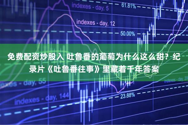 免费配资炒股入 吐鲁番的葡萄为什么这么甜？纪录片《吐鲁番往事》里藏着千年答案