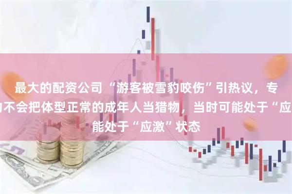 最大的配资公司 “游客被雪豹咬伤”引热议，专家：雪豹不会把体型正常的成年人当猎物，当时可能处于“应激”状态
